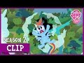 Rainbow S Nightmare May The Best Pet Win MLP FiM HD