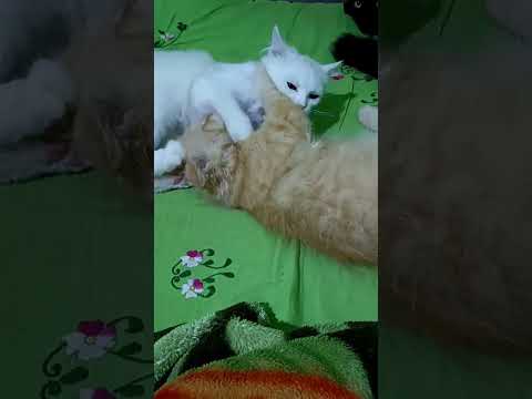 👓👓👓👓👓👓