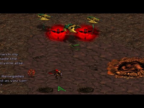 Starcraft UEDAIP Brood War Z8: To Slay The Beast