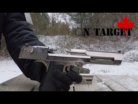 Range Day with the .44 Mag Desert Eagle