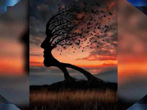 Decretos y afirmaciones positivas ✨ Anneka de Temmer #taygeta #pleyades ✨ conversaciones telepáticas