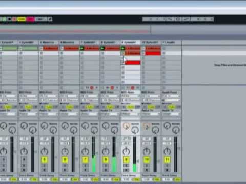 Wombat Wednesdays Episode 1: "Lets start a song!"