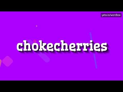 CHOKECHERRIES - HOW TO PRONOUNCE IT!?