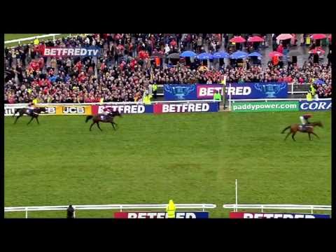 Will Silviniaco Conti take this year's Betfred Gold Cup - Cheltenham Preview