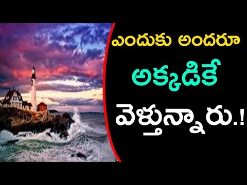 download lagu mp3 mp4 Usa Movie Schedule, download lagu Usa Movie Schedule gratis, unduh video klip Usa Movie Schedule