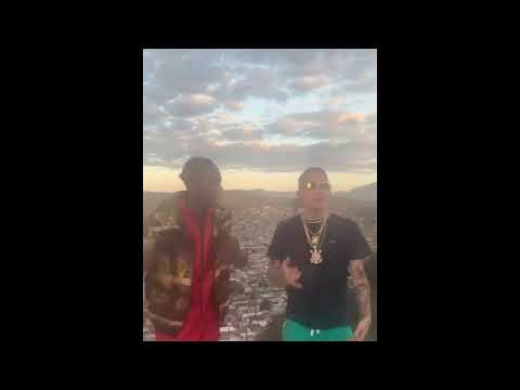 MC Hariel - Ninguém Sabe Ninguém Estraga - Festa dos Cria (DJ Zullu) Prévia 2020