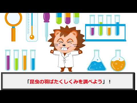 【オンラインこども科学教室】昆虫の羽ばたくしくみを調べよう