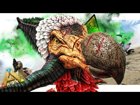 I Infected the Server as a Dodo