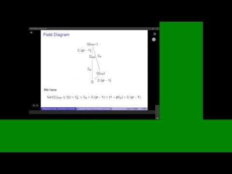 CTNT 2020 - Iwasawa Theory of Fine Selmer Groups - Debanjana Kundu