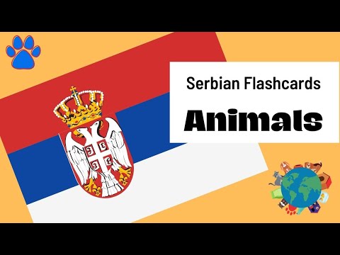Learn Serbian Vocabulary: Animals | Serbian Flashcards