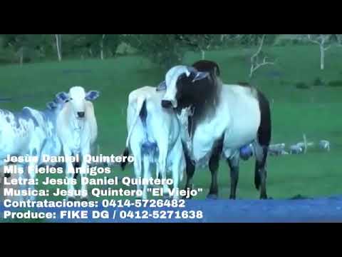 Mis fieles amigos Jesús Daniel Quintero