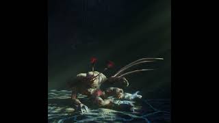 halo flood animation #animation #halo #flood