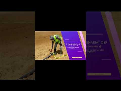 SEPJ Gabès : مراجعة وتوقعات 2026