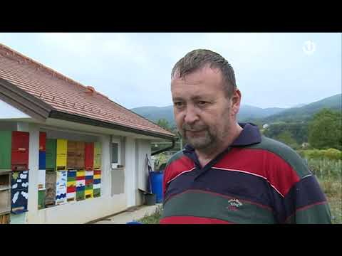 Pčelinji otrov iz Kozarca za američku farmaceutsku indrustriju