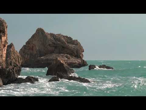 انا مالي فيهاش- عبدالله المهداوي