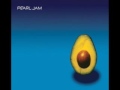 Pearl Jam - Life Wasted (Lyrics)