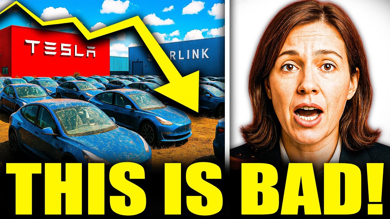 Elon Musk IMPLODES After Tesla and Starlink $146 Billion DISASTER & 80% SALES PLUNG!