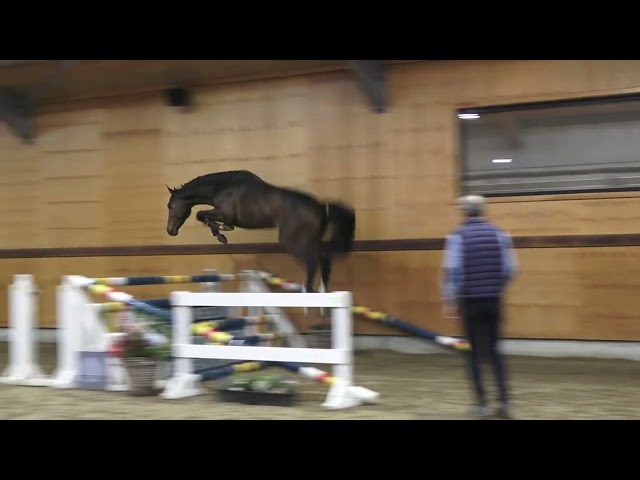 jumping