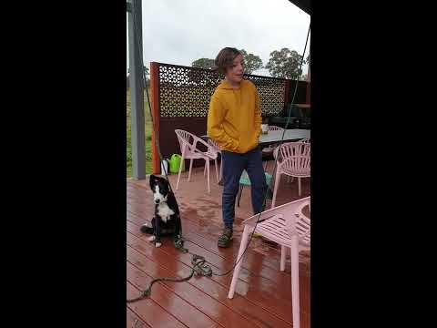 Intro - Rube Goldberg machine - Callum's Iso science project