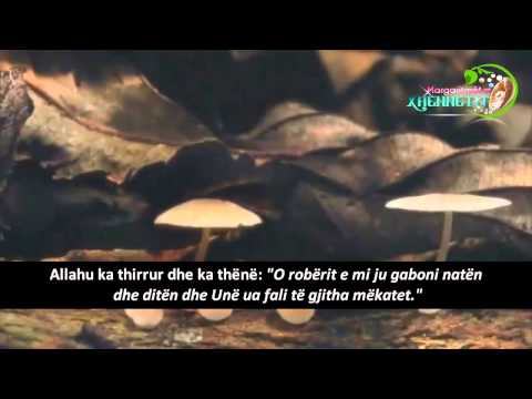 Dëshiron shpëtim..? - Shejh Halid el Rashidi