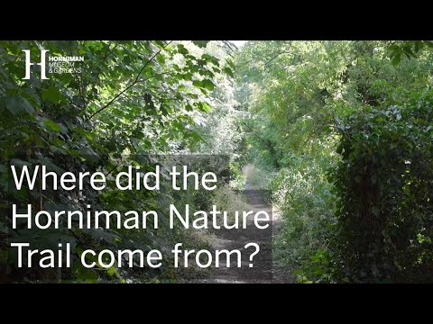 Where did the Horniman Nature Trail come from? - Horniman Museum and Gardens