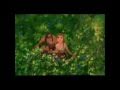 You'll Be In My Heart [Tarzan] - Devan 