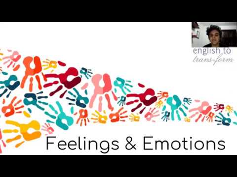 On-line & Fabulous - B1 - Feelings and Emotions (Cintia)