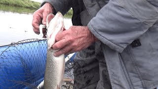 Рыболовные базы ханты-мансийского округа