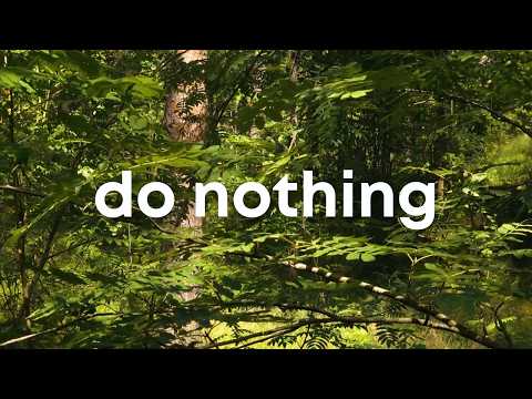 Do Nothing Exercise