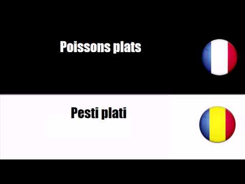 # Român=Franceză # Temă = Pesti plati