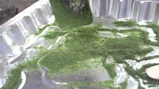 Making Miniature Rock Wall Part 4B