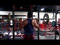 SHOULDERS CHEST AND ARMS BODYBUILDING ROUTINE!