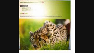 DJ Debra-Give A Little More