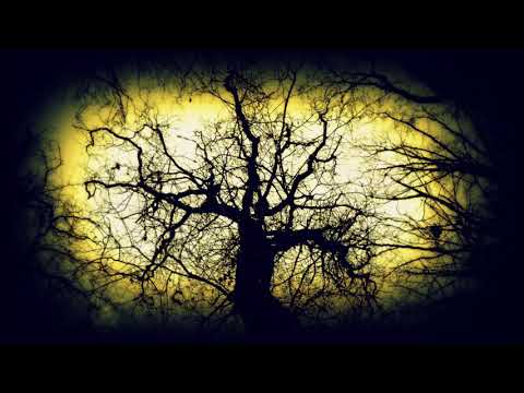 Martin Goodwin - Eclosion Pt.1 (Arkaean Remix)