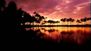 Oh Pretty Woman　／Jhon Mayall and The Bluesbreakers