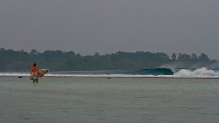 Paradise Lost  - Twig in the Telos