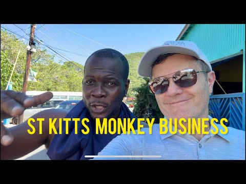 St. Kitts: Drunk Monkeys, Well Paid Criminals & The Best Things About Life on the Island
