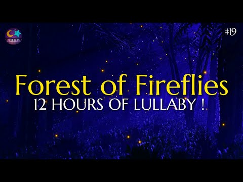 Lullaby for babies to go to sleep - Forest of Fireflies Light - Baby Lullaby #19