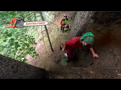 Extremer Steilhang mit der neuen Husqvarna 564 XPG Fuel Inject