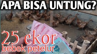 Download lagu How much profit is there in raising 25 laying ducks? #laying_duck_raising mp3