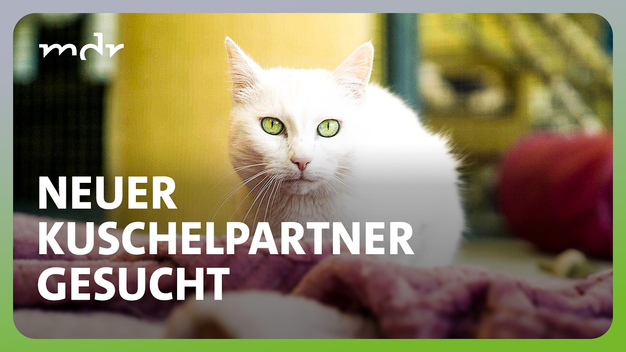 Der tierische Fall der Woche: Mascha aus Chemnitz | Tierisch tierisch | MDR