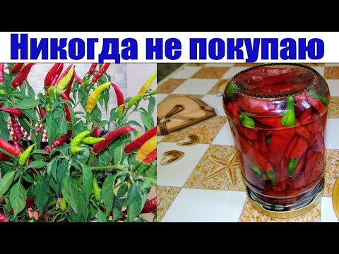 РЕЦЕПТ ОГОНЬ