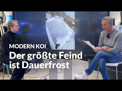 How well does overwintering work without heating and filtering? | Modern Koi Blog #7914