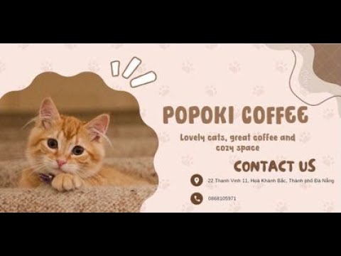NHỮNG KHOẢNG KHẮC ĐÁNG YÊU TẠI POPOKI GATO E CAFÉ
