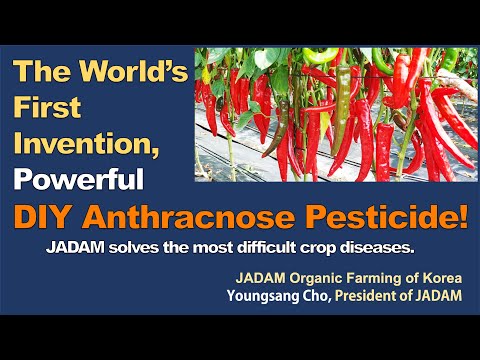 February 2023 JADAM Lecture tour in the USA