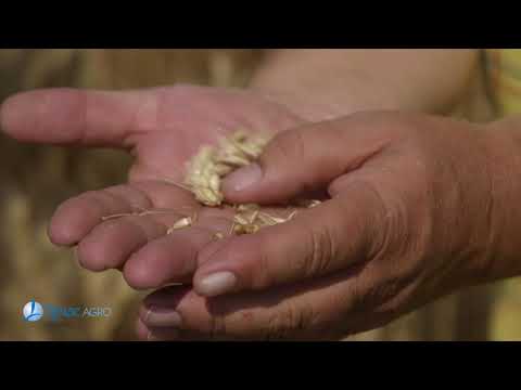 Timac Agro i Almex Juzni Banat