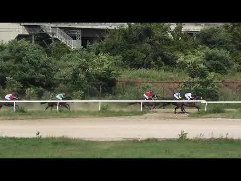 Trka "Art Excellence" 14.07.2019. HUSSAR DE BEAUVAIS - Aleksandar Šašić