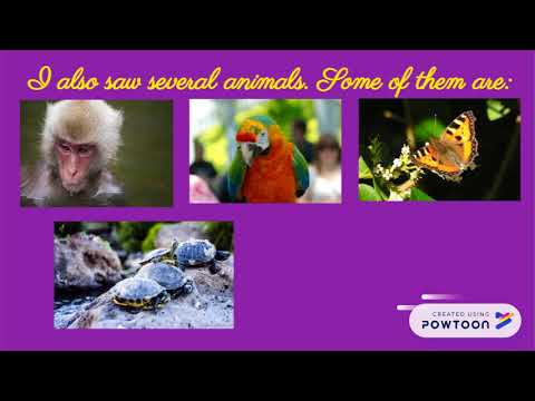 Botanical Garden-Emily Castro