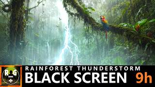 Rainforest Thunderstorm Sounds with Pouring Rain, Heavy Thunder & Jungle Animals | Black Screen 9h