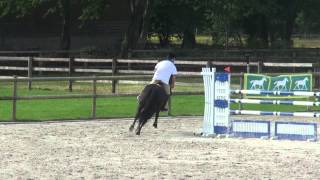 Video von Tradition de la Roque